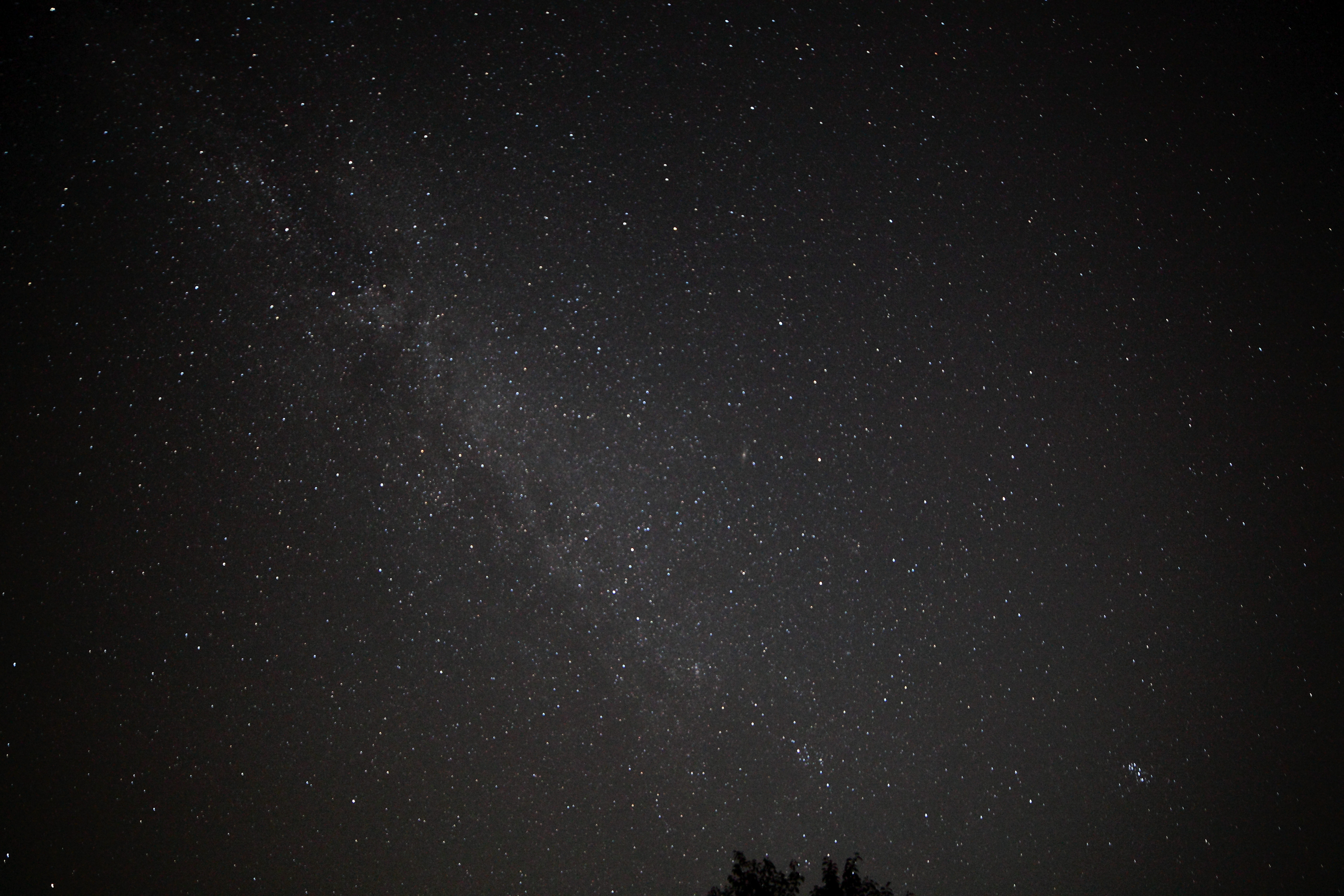IMG_7159.JPG(5102 Kbyte)