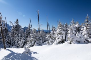 八ヶ岳らしい風景