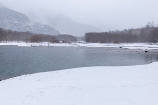 大正池
