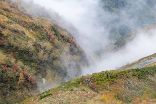 紅葉と雲